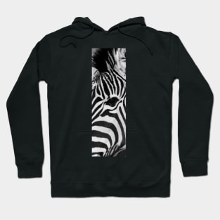 Zebra black and white print series. Vertical closeup. Hoodie